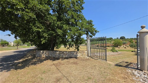Terreno Agricolo e Ciliegeto a Castellana Grotte